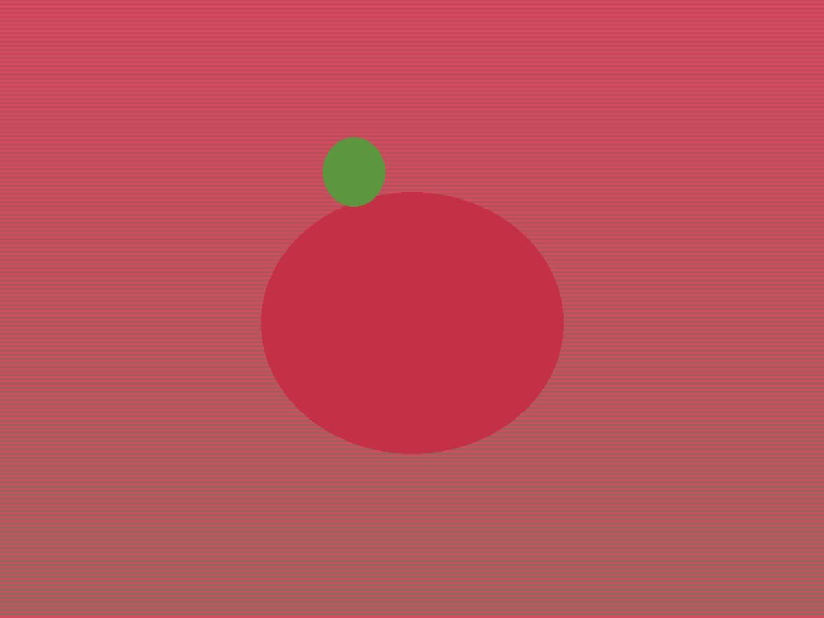 Strawberries 草莓